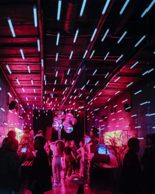 Infected Mushroom Dallas