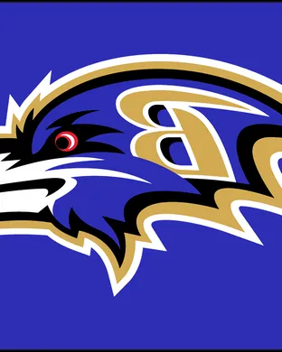 Baltimore Ravens Arlington