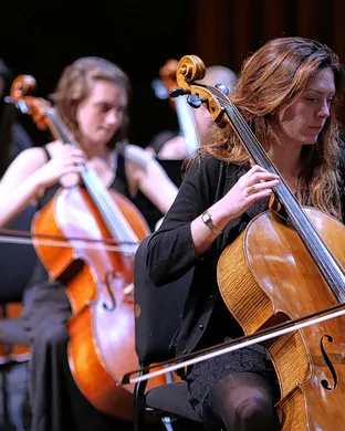 Beethoven Dallas