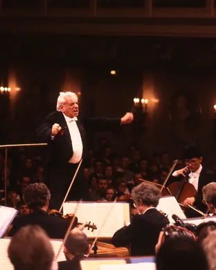 Bernstein Dallas