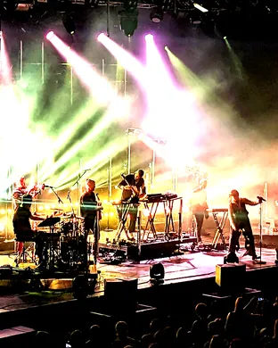 Bonobo Dallas