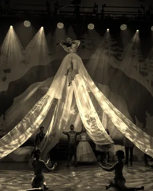 Cirque Musica Holiday Wonderland Dallas