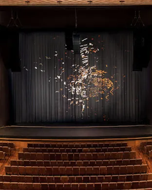 Dallas Opera: The Cunning Little Vixen
