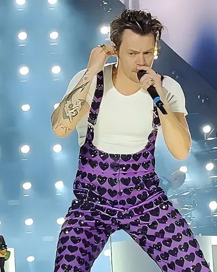 Harry Styles Arlington