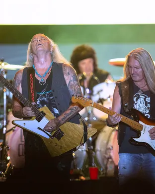 Lynyrd Skynyrd Dallas