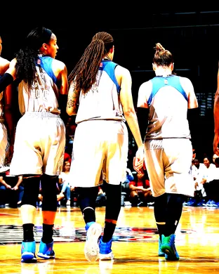 Minnesota Lynx Arlington