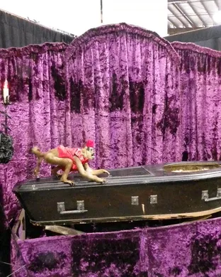 Oddities and Curiosities Expo Dallas