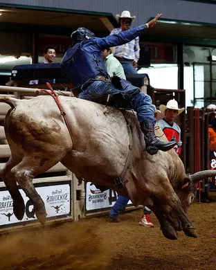 PBR Stockyards Showcase Fort Worth
