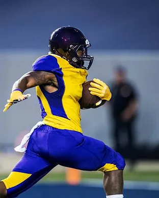 Prairie View A&m Panthers Football Dallas