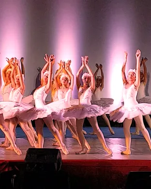 Swan Lake Fort Worth