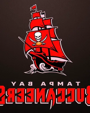 Tampa Bay Buccaneers Arlington
