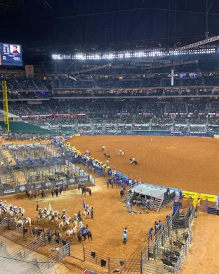 Ultimate Bullfighters Fort Worth