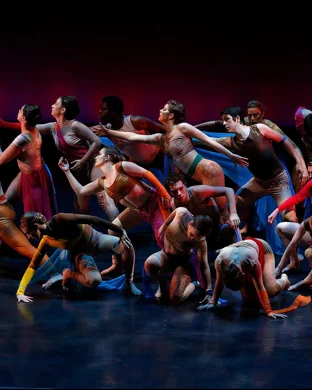 Technique Acro Dance Company Arlington